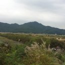 선두4리항 이미지