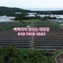 재원 태양광발전소 이미지