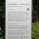 서울시립대학교의 여름 풍경 (2024.6.16.일) 이미지
