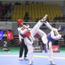 서울경희대태권도체육관 이미지