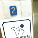 다대동물병원 네이버블로그
