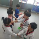 계룡태권도 이미지