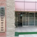 삼성초등학교 이미지