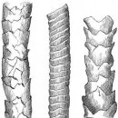 슈퍼워시 이미지