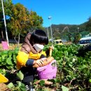 윤우농장 이미지