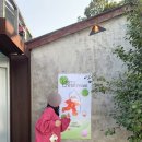 유니하우스 | 애정하는 겨울 제주