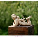 사랑의연못 이미지