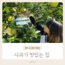 경재농장 | 영주 부석사 소백산 사과따기체험 사과가 맛있는 집