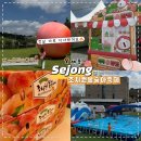 동일문예 | 세종 조치원복숭아축제 2026 첫날 후기｜주차 팁·복숭아 가격·어린이 물놀이