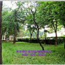 포도랜드공인중개사사무소 이미지