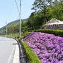 충북 괴산 성불산 도덕사 (2018.04.28) 이미지