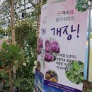 사계절화원 이미지