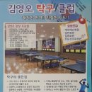 김영오탁구클럽 Daum카페