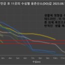 보도자료:새만금 수질 5~6m 아래 여전히 썩는 빈산소 수역 존재 이미지