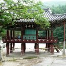 정자 티스토리