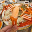 팔팔호텔 | 속초 대포항 대게 횟집 맛집 팔팔회센타 내돈내산 후기