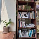 서울상회 | 종각 카페 추천 - 조용하고 감성 있는 보신각뷰 서울커피상회 방문 후기