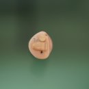 삼우보청기 이미지