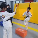 포천 고려태권도장 이미지