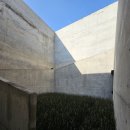 신미술관 | 나오시마 미술관 예약 방법 총정리｜지중미술관 취소·환불 후기 (베네세·신미술관 포함)