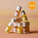 택소프트 이미지