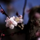 경주시립노인전문요양병원 Daum카페