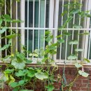 아래반송로 이미지