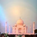 한미안경원 | [안산 맛집] 현지인이 만드는 진짜 커리! '인디안 파라다이스' 솔직 방문기 (갈릭난/버터난/버터치킨커리)