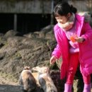 올래놀래 이미지