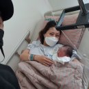 이로이야