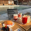 하루소양 이미지