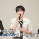 딩고 이미지