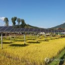 한우 태양광발전소 이미지