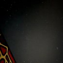 탑 당구 클럽 | 국내 힐링여행 추천 파크로쉬 정선 즐길거리 모음 루프탑 배로 즐기는 방법까지