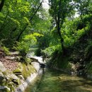 광바위펜션 이미지