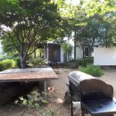 시연민박 이미지