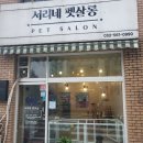 서리네펫살롱 이미지