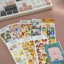 평동드림센터 나눔카페 | 건강한 돼지의 비결을 아르켜줄게, 2025년 8월의 순간들