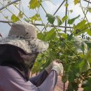 화수농장 이미지