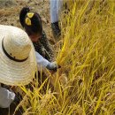 아이미래메디칼 이미지