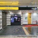 몸도 아플 길래 홍대피부과에서 리쥬란힐러 맞고온 후기