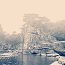 10월 2일(日)[당일]【遠征명품】승일공원-고석정 꽃밭-고석정 이미지