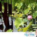 도심 안에 싱그러운 자연을 담아 : 대전 한밭수목원 나들이 이미지