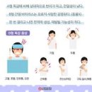 B형 독감 전염 열 B형 독감 격리 잠복기 이미지