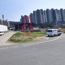 금산면 Daum카페