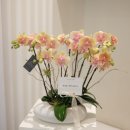 영전농장 이미지