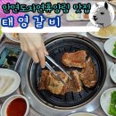 태영갈비 | 안면도자연휴양림 고기 맛집 추천 태영갈비