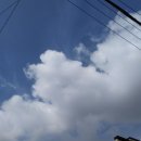 쌍용(아) 이미지