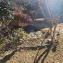 경주시내남면박달보건진료소 이미지