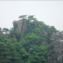 에덴모자 이미지